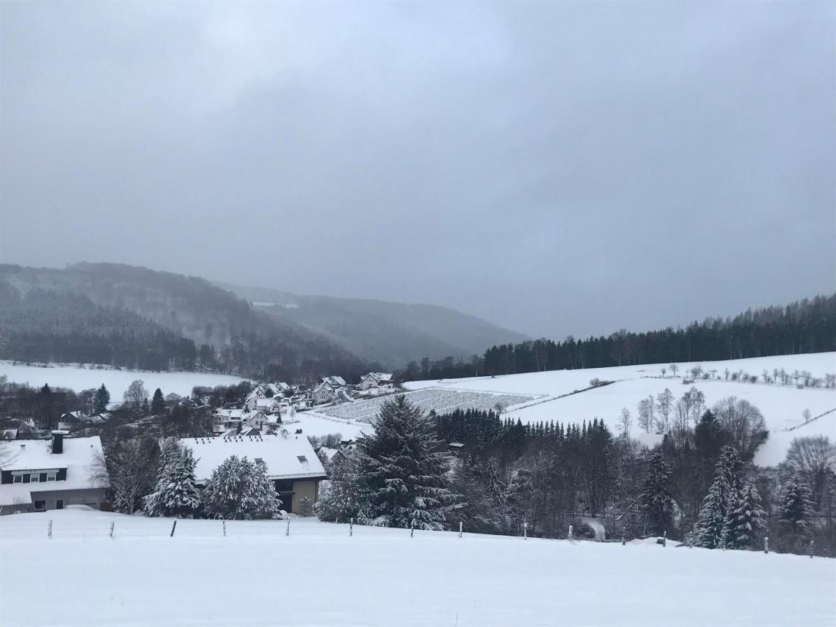 Appartement Familie Willems Winterberg 2 Exterior foto